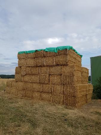 BALLEPROTEK® lot de 5 baches et 40 vis 