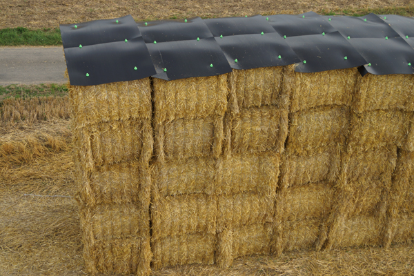 BALLEPROTEK® (lot de 12) 2 700mm x 1 000mm